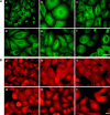 Fig. 9