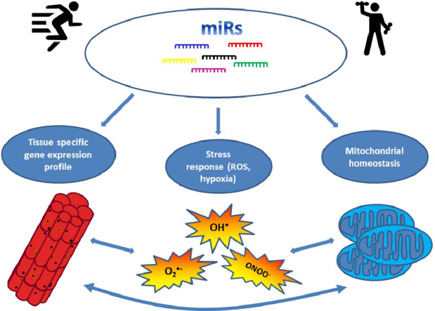 Image, graphical abstract