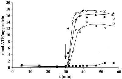 FIG. 5.