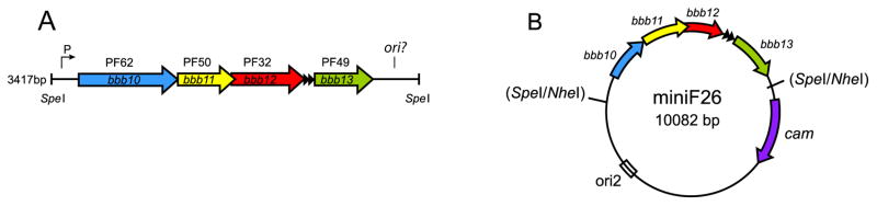 Fig. 1