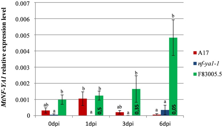 FIGURE 3