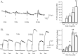 Fig. 11.