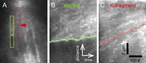 FIGURE 5: