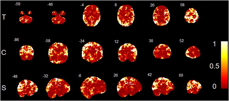 FIGURE 3