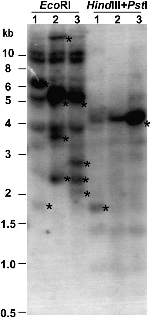 Figure 9.—