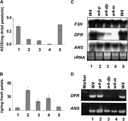 Figure 2.—