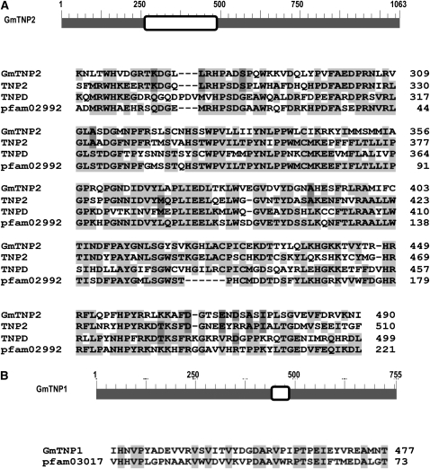 Figure 6.—