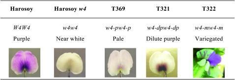 Figure 1.—