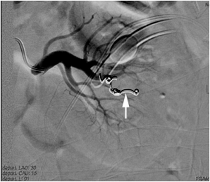 Fig. 2.