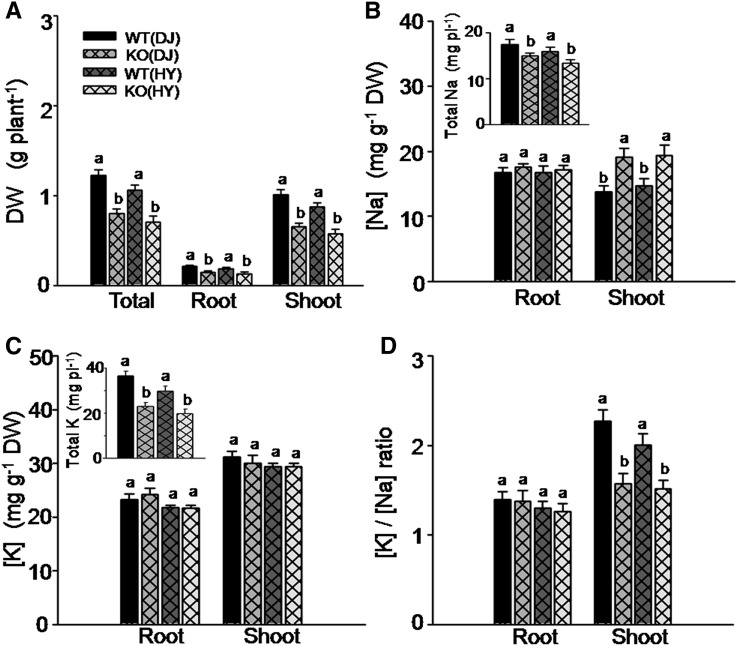 Figure 10.