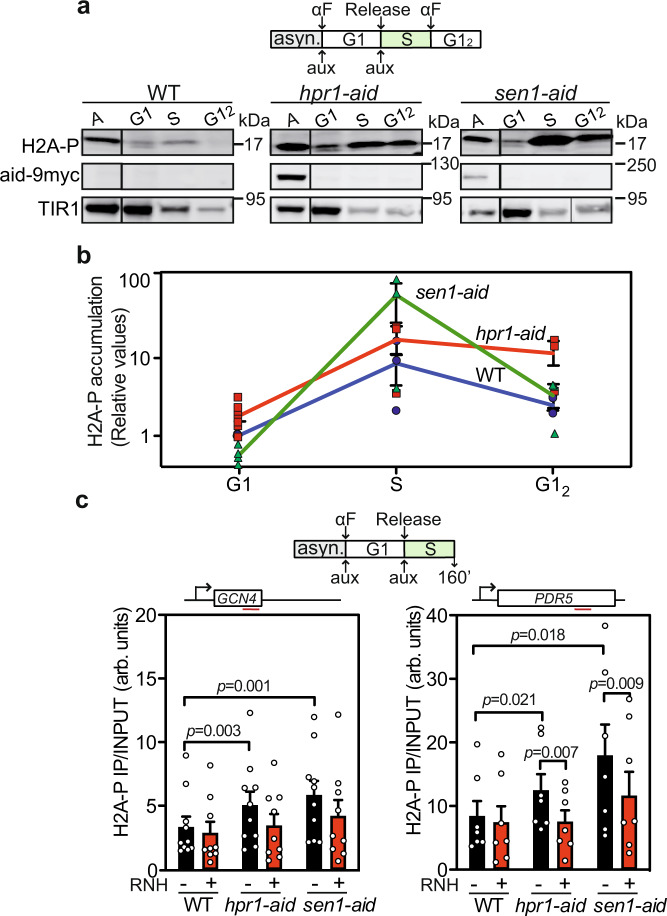 Fig. 4