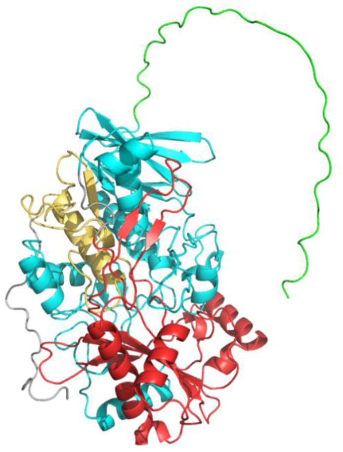 FIGURE 1
