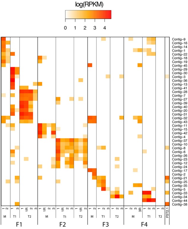 Figure 5