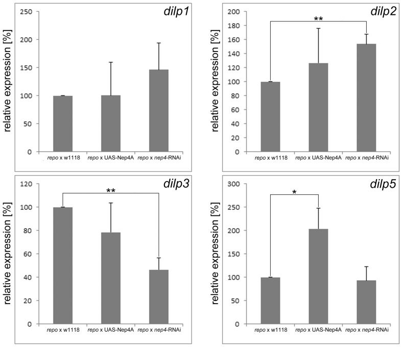 Figure 3—figure supplement 1.