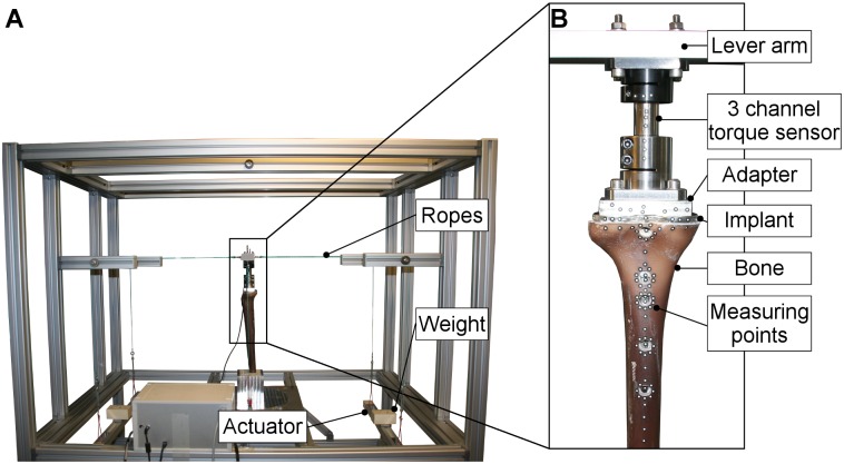 Fig 5