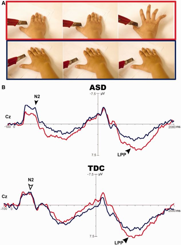 Fig. 4