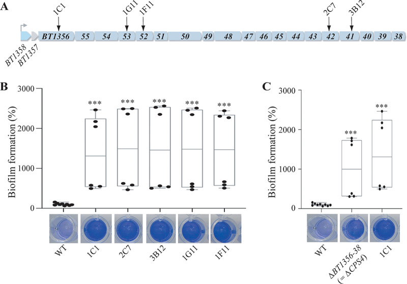 FIG 1