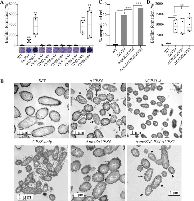 FIG 3