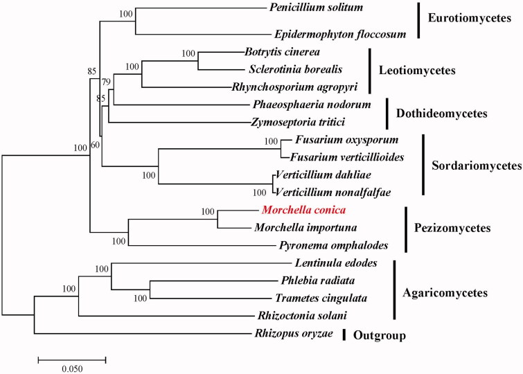 Figure 1.