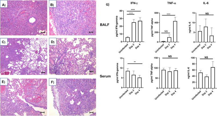 FIG 2