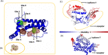 Fig 3