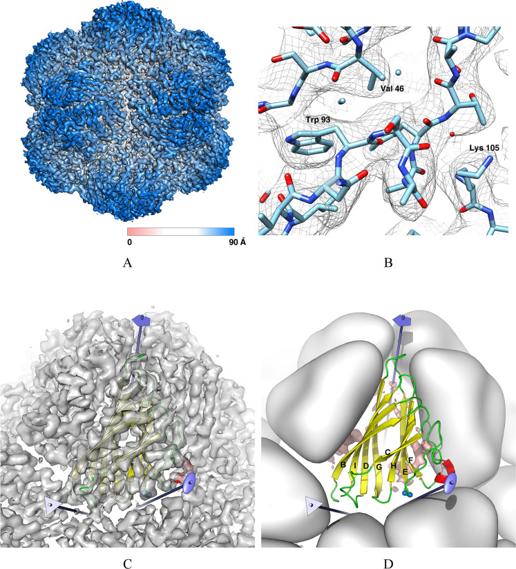 Fig 2