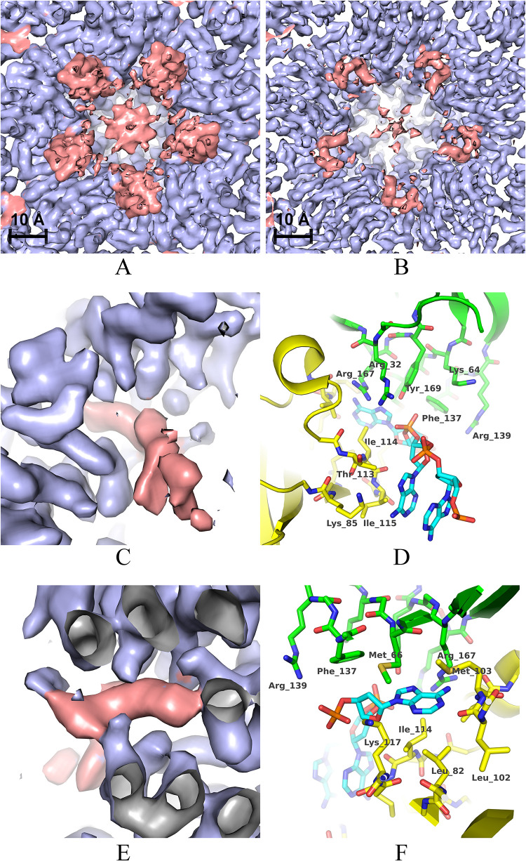 Fig 5