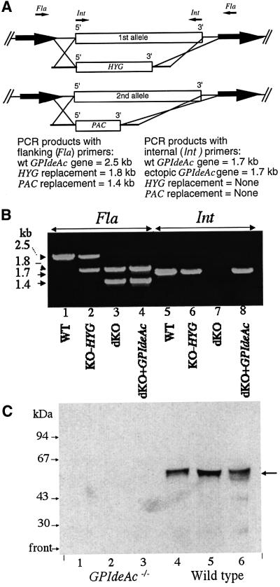 graphic file with name cde471f6.jpg