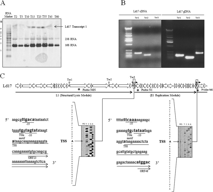 FIG 4