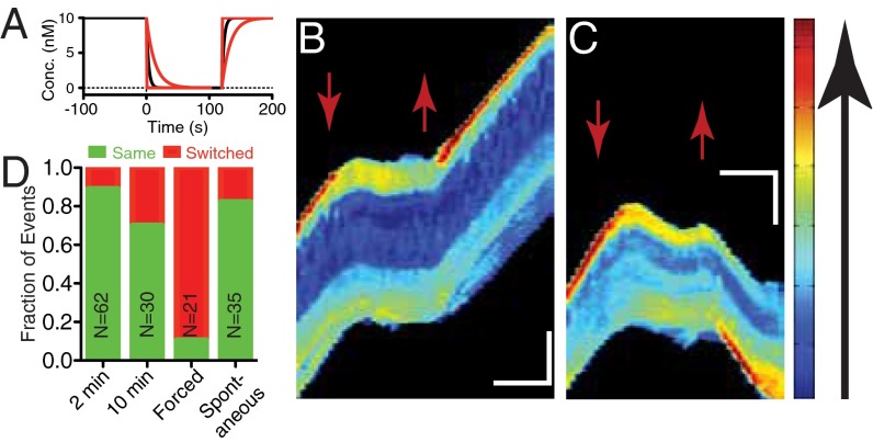 Fig. 3.