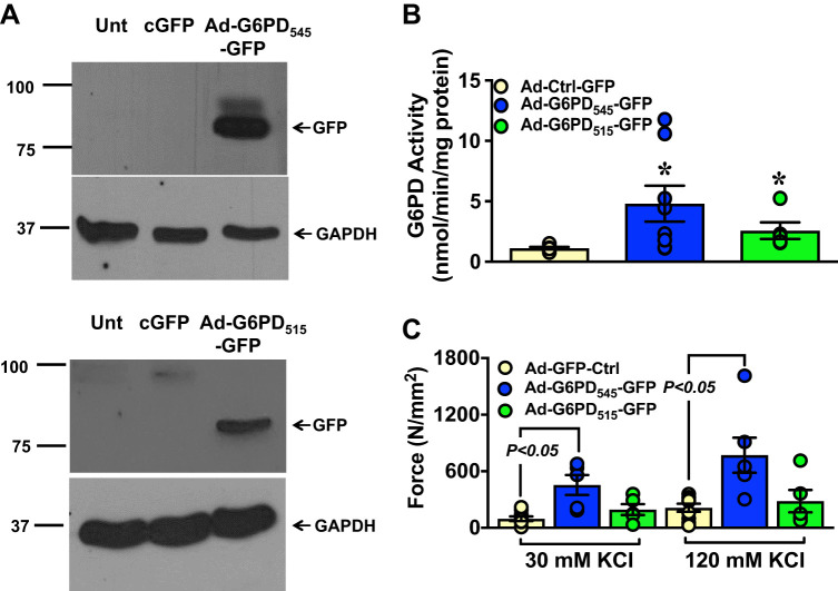 Fig. 6.