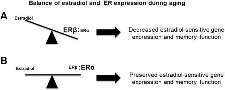 Figure 13.