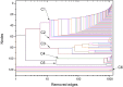 Fig 11
