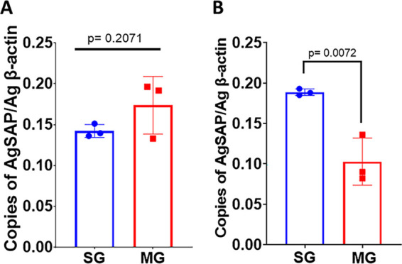 FIG 1