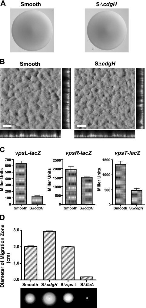 FIG. 2.