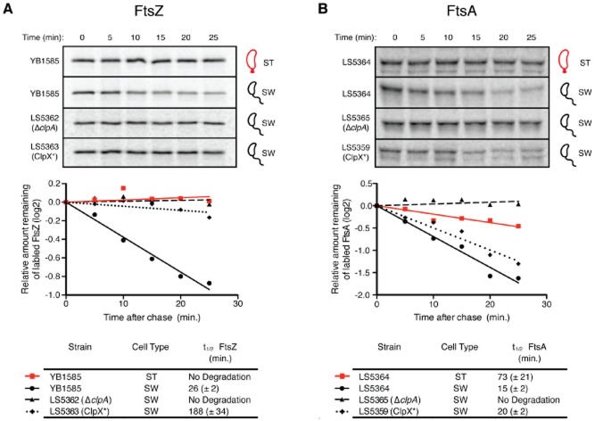 Fig 4