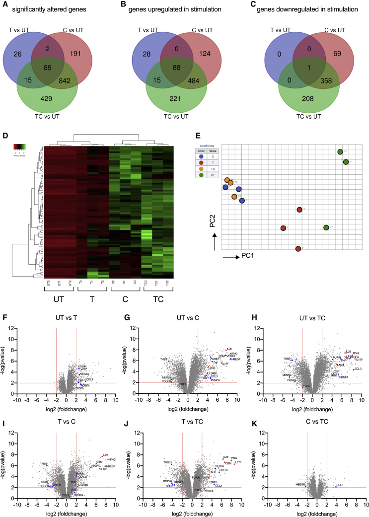 Figure 4