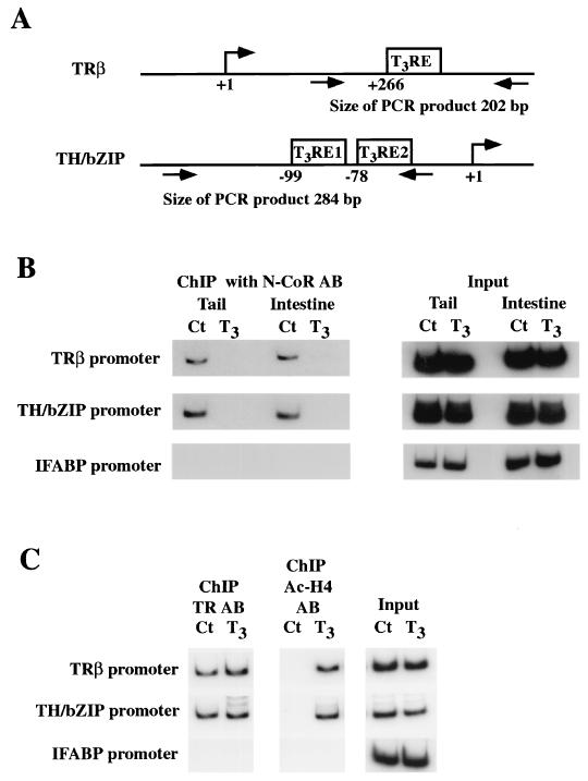 FIG. 7.