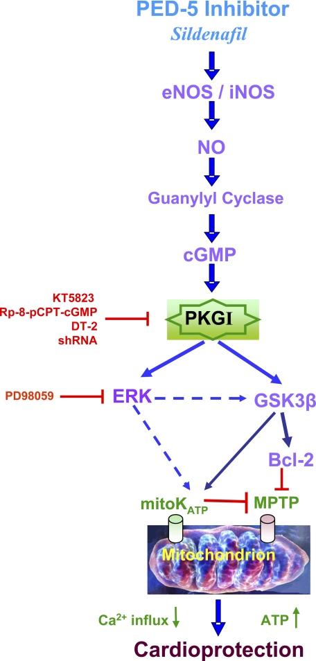 FIGURE 10.