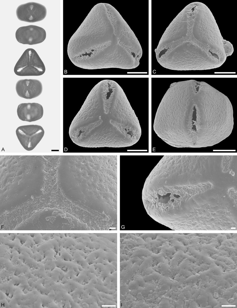 Figure 27.