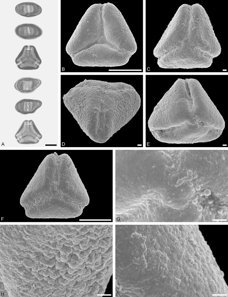 Figure 45.