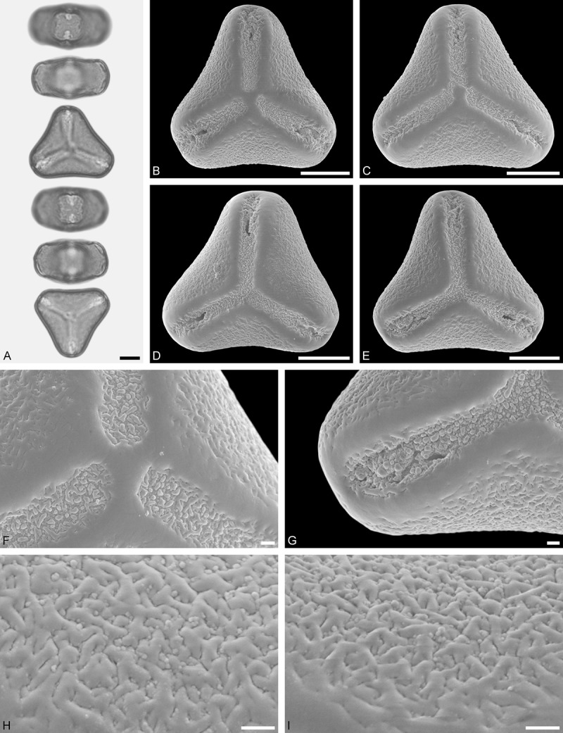 Figure 26.