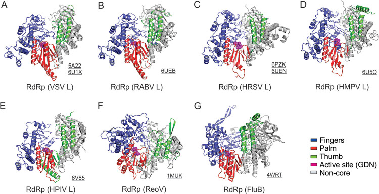 FIG 6