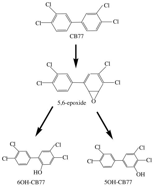 Fig.5