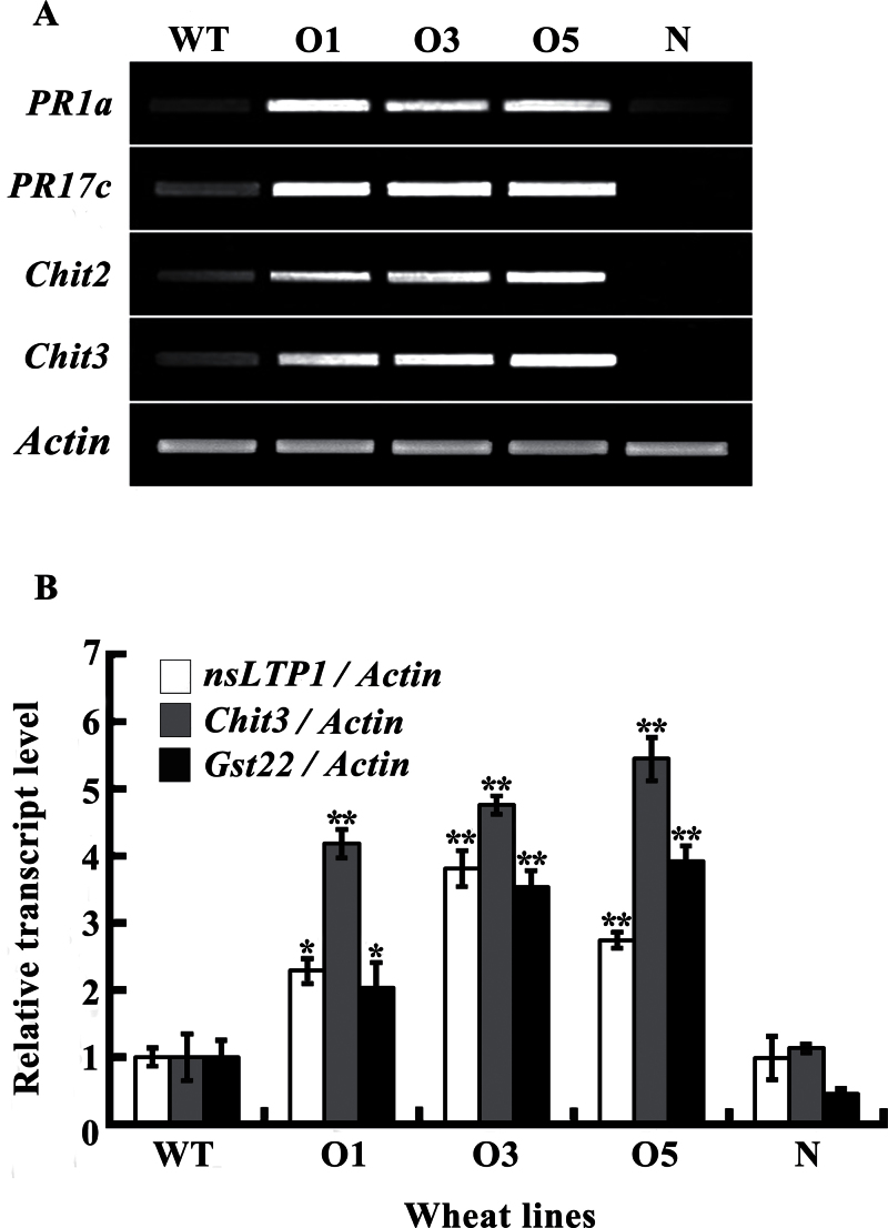 Fig. 6.