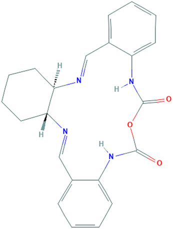 graphic file with name FMOLB_fmolb-2022-1078987_wc_tfx5.jpg