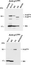 FIG. 3.