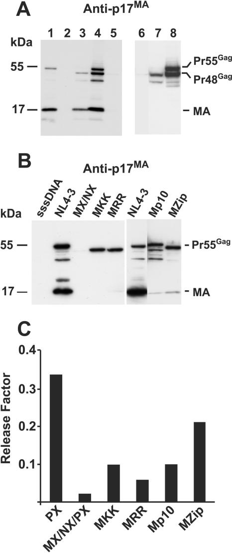 FIG. 7.