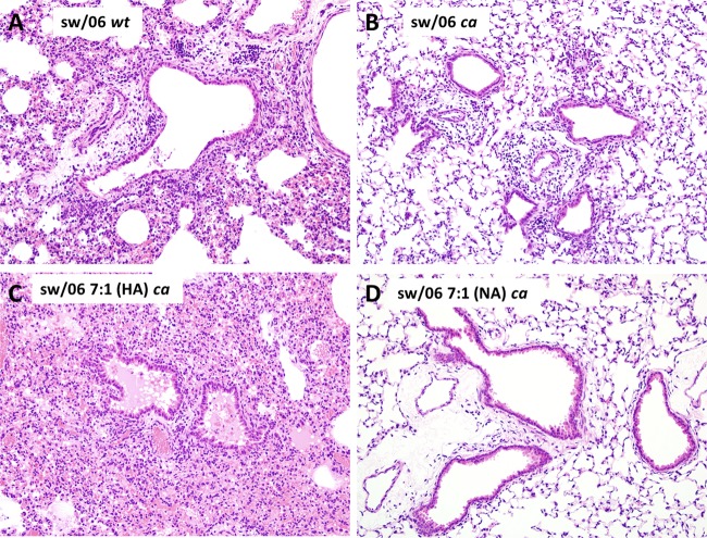 FIG 4