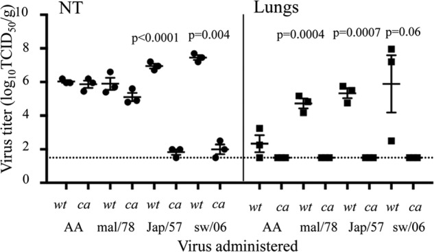 FIG 2